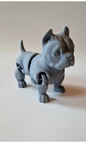 Flexi Amerikai Bully